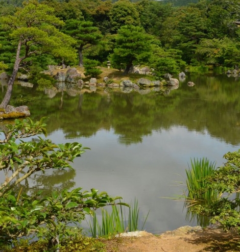 惠城区高中录取分数线