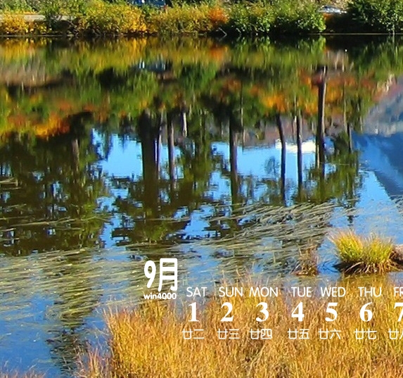 艺术审美情侣