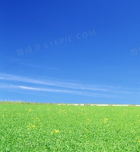 男士皮手套什么牌子最好