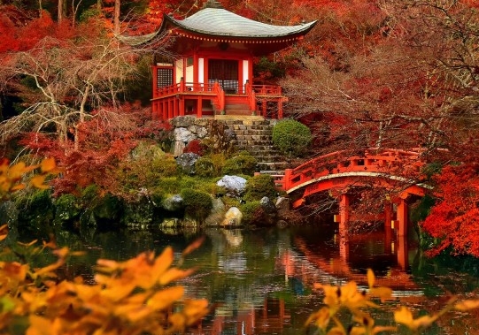 国花艺术黄金