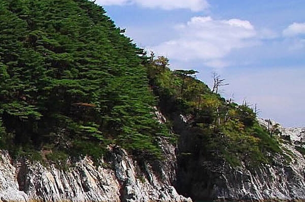 海鲜小哥的生活