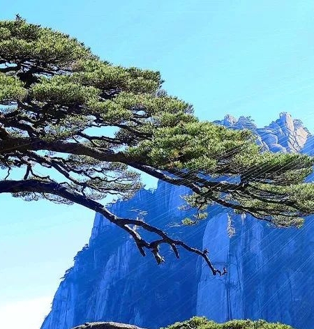 财经珊姐