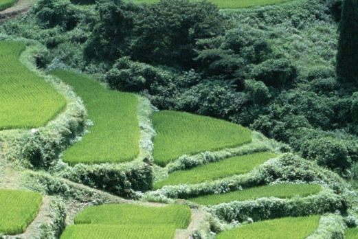 展览海报