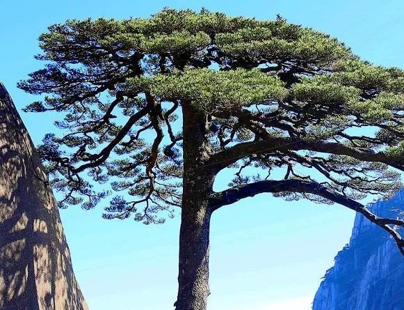 阿龙的旅行生活
