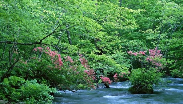 医治痤疮常识
