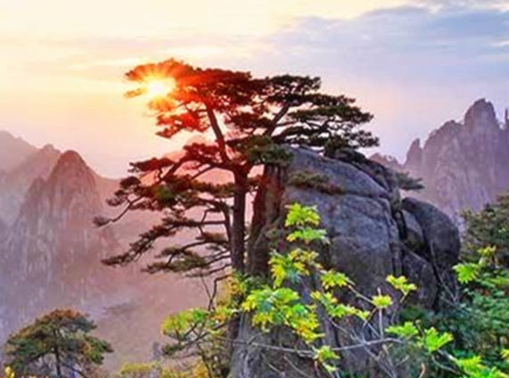 小说沈括简介