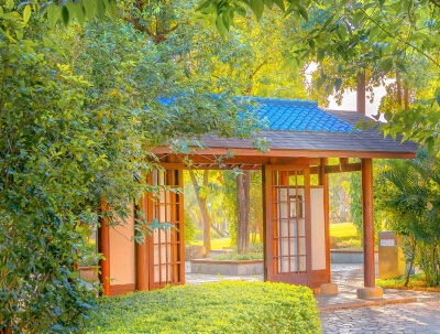 西丽有没有沃尔玛