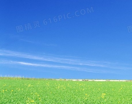 网络诈骗常识
