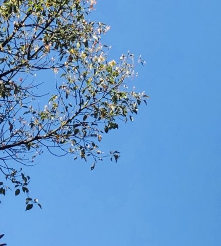 厕所复古艺术花砖