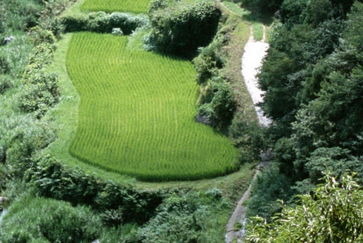 基金档案