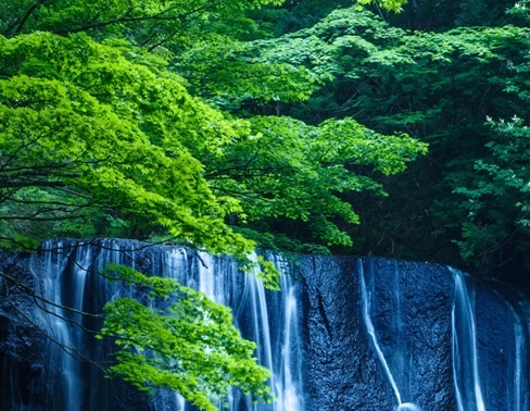 商城专栏
