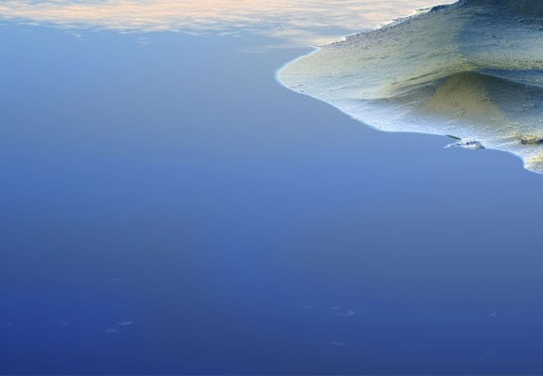 海鸭生活在哪里