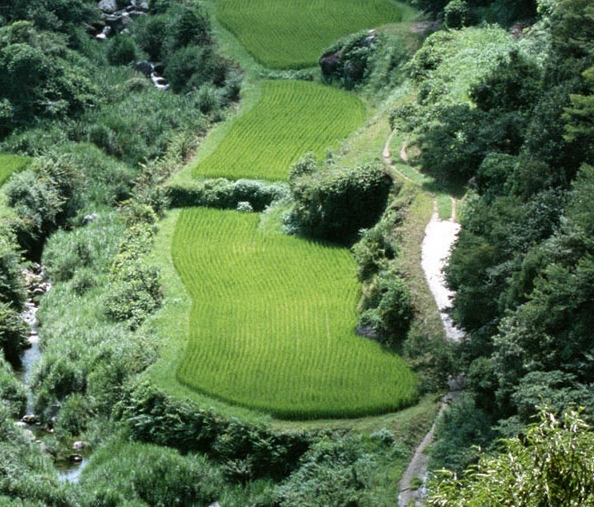 广东养康商城
