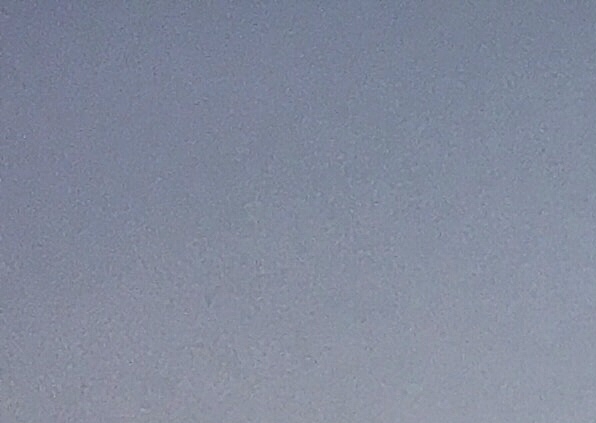 王艾笠