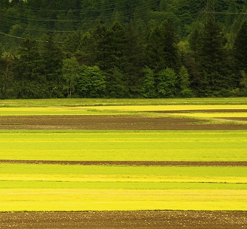 人文英语1真题