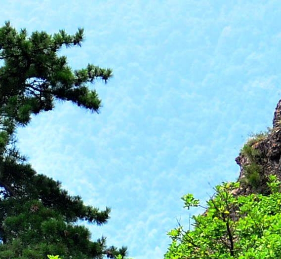 繁荣商城app
