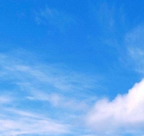 汽车之家红旗h9