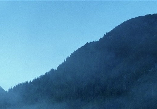 抖音情感签名大全