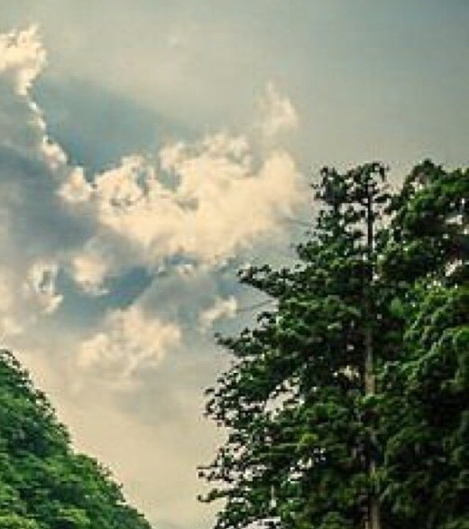 情感细腻的人的表现
