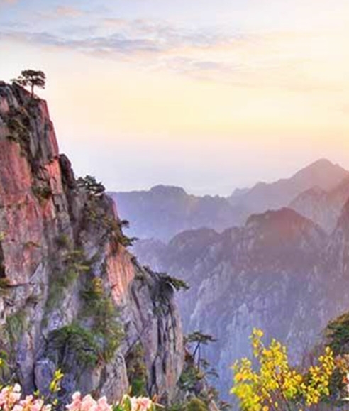 茶室吊灯图片大全