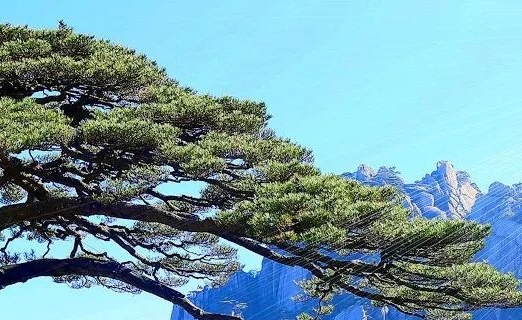凡人修仙传仙界小说完结了吗