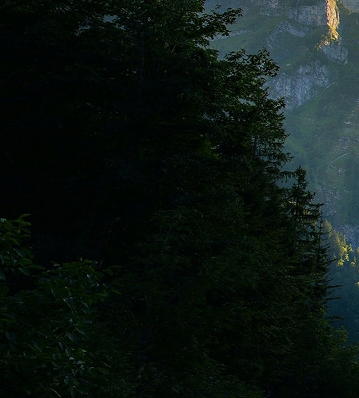佛山绿岛广场附近地铁站