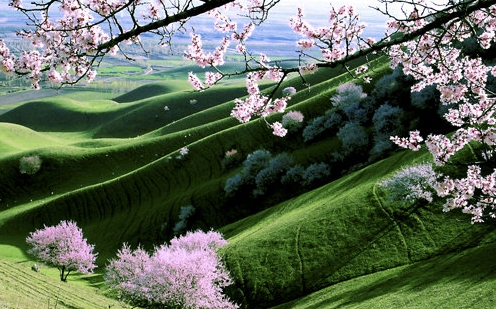 艺术写真的价格