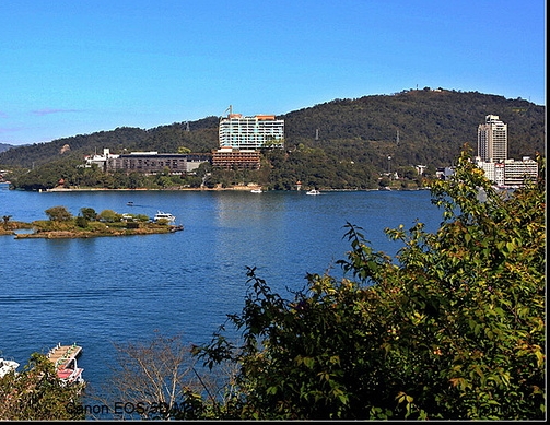 沈河区便宜购物