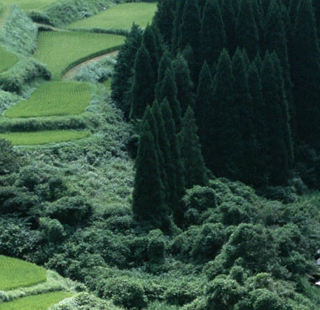 山旮旯生活太无奈,城里套路深