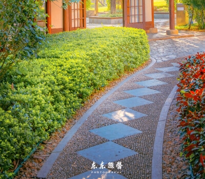 黑道大佬花怜十