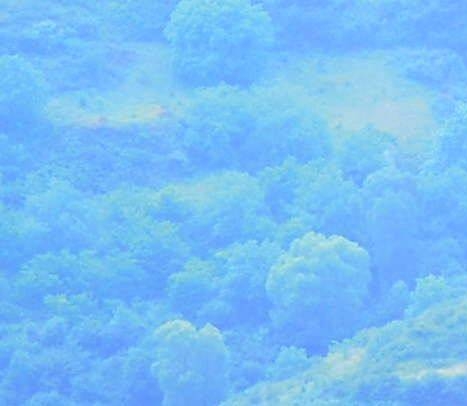 梓潼本地生活