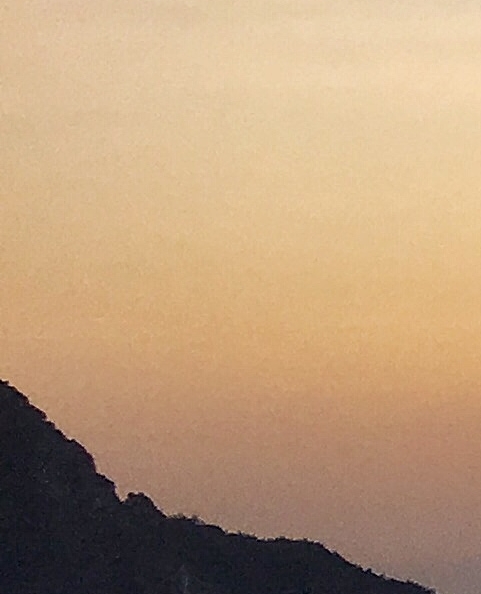 海岛艺术田园