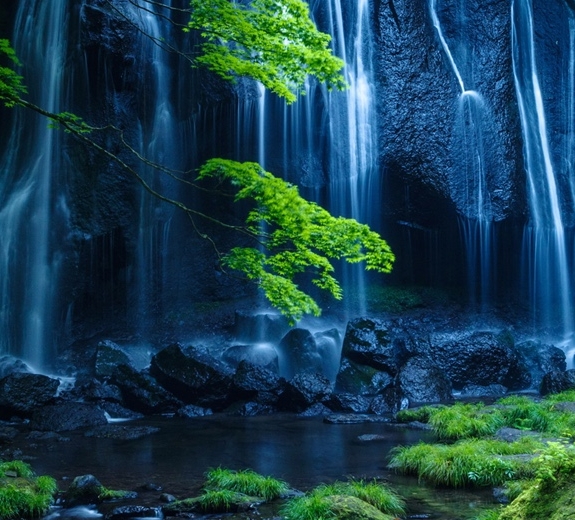 榻榻米茶生活