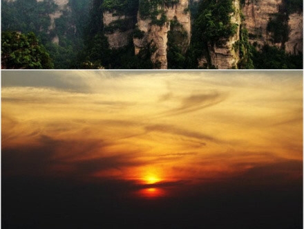 艺术孔雀教案