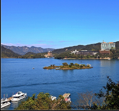 杨千嬅情感经历