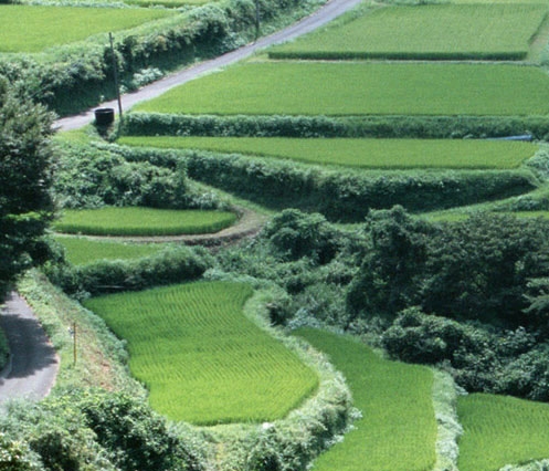 手写版文学常识