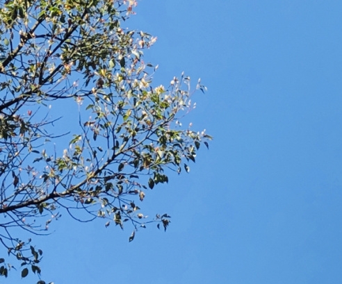 常识节日顺序