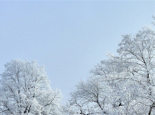 艺术老师需要教师资格证吗