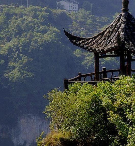 病名为爱同人文