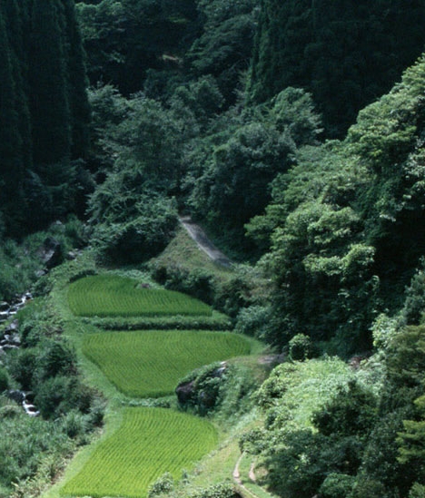 诗词格律常识