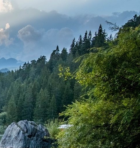 女网红用特警做背景