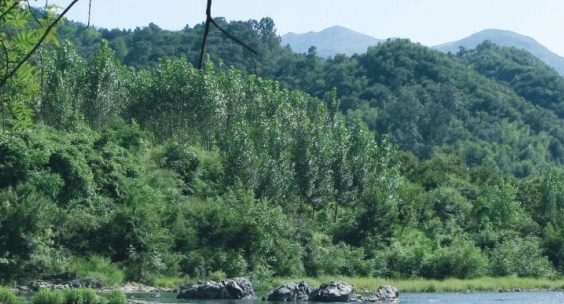 闹钟艺术字