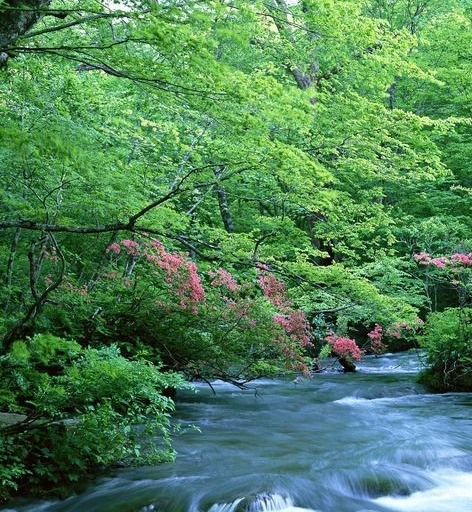 浙江基层工作常识