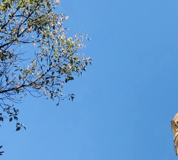 大理古城客栈推荐