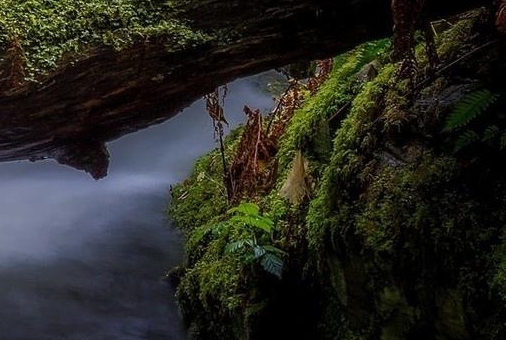 悟道茶生活