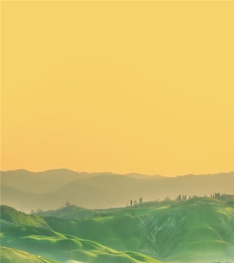 萌妈的情感