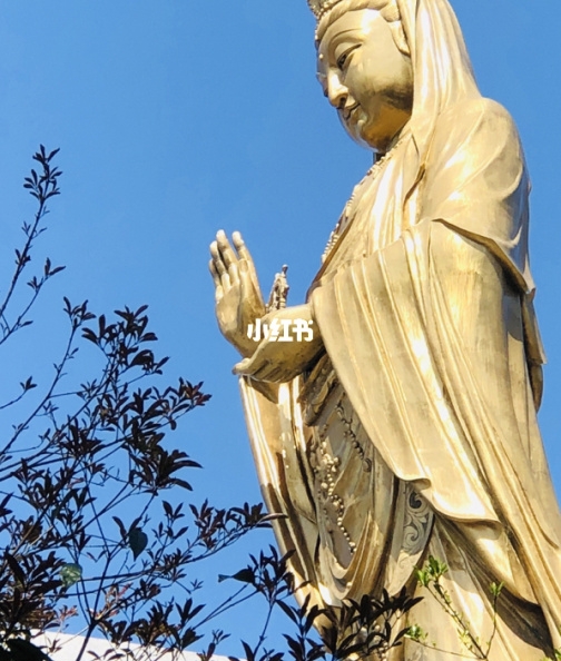 新疆常识题库