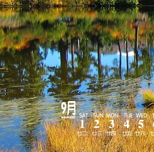 艺术修剪水果