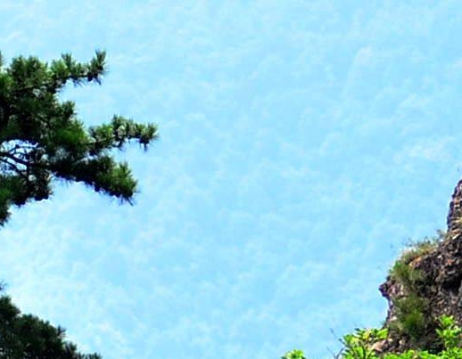 陈字的艺术图画