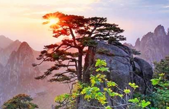情感音乐翻译成英文